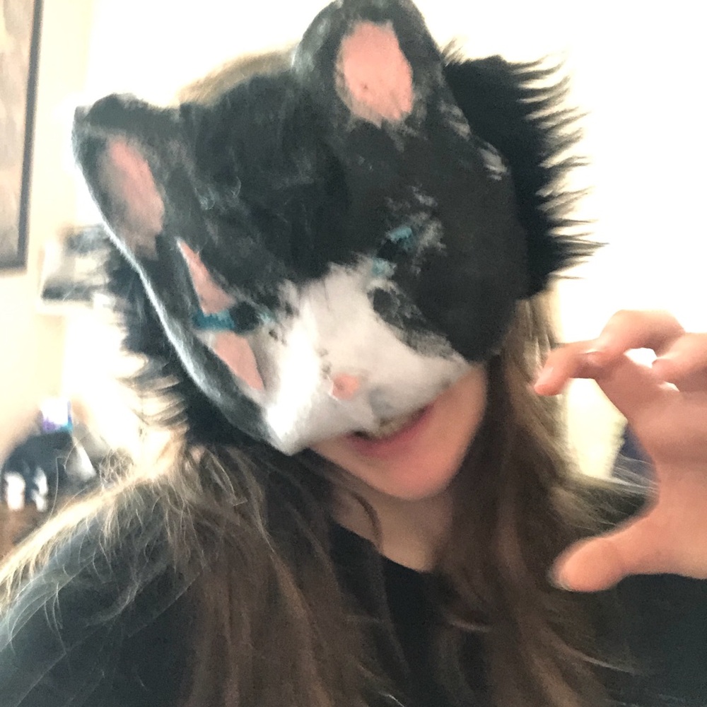 Tuxedo cat mask